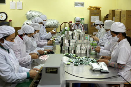 Công nhân Công ty cổ phần Dược phẩm Yên Bái trong giờ sản xuất.
